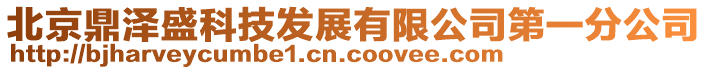 北京鼎泽盛科技发展有限公司第一分公司