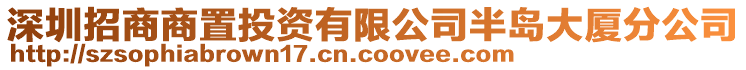 深圳招商商置投資有限公司半島大廈分公司