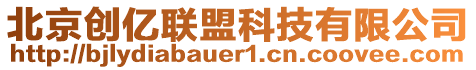 北京創(chuàng)億聯(lián)盟科技有限公司