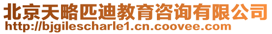 北京天略匹迪教育咨詢有限公司