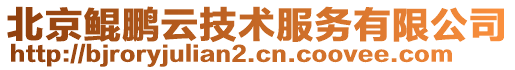 北京鯤鵬云技術(shù)服務(wù)有限公司