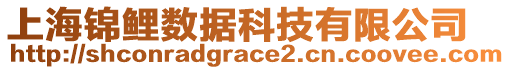 上海錦鯉數(shù)據(jù)科技有限公司