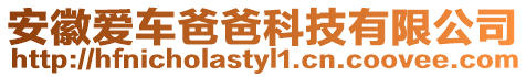 安徽愛車爸爸科技有限公司