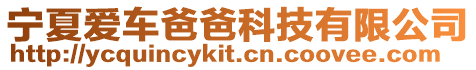 寧夏愛車爸爸科技有限公司