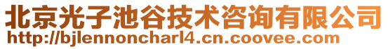 北京光子池谷技術咨詢有限公司