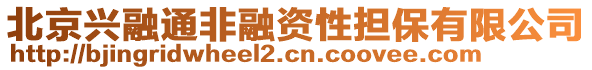 北京興融通非融資性擔保有限公司