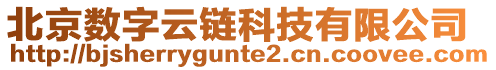 北京數(shù)字云鏈科技有限公司