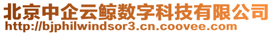 北京中企云鯨數(shù)字科技有限公司