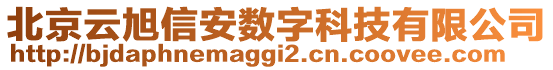 北京云旭信安數(shù)字科技有限公司