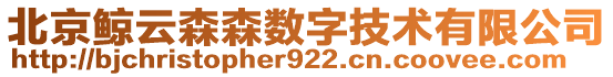 北京鯨云森森數(shù)字技術(shù)有限公司