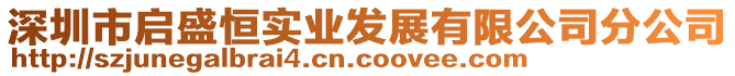 深圳市啟盛恒實(shí)業(yè)發(fā)展有限公司分公司