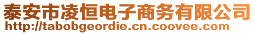 泰安市凌恒電子商務(wù)有限公司