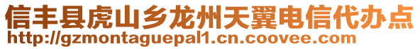 信丰县虎山乡龙州天翼电信代办点