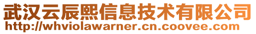 武漢云辰熙信息技術有限公司