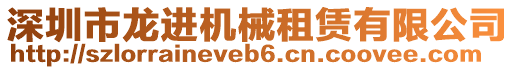 深圳市龍進(jìn)機(jī)械租賃有限公司