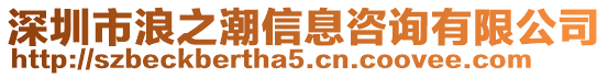 深圳市浪之潮信息咨詢有限公司