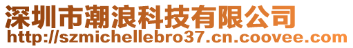 深圳市潮浪科技有限公司