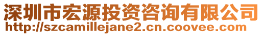 深圳市宏源投資咨詢有限公司