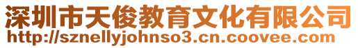 深圳市天俊教育文化有限公司