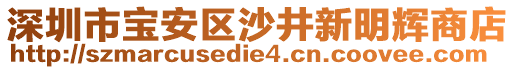 深圳市寶安區(qū)沙井新明輝商店