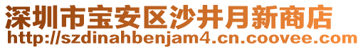 深圳市宝安区沙井月新商店