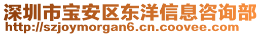 深圳市寶安區(qū)東洋信息咨詢部