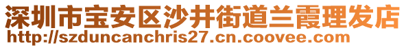 深圳市寶安區(qū)沙井街道蘭霞理發(fā)店