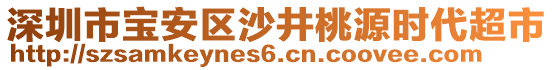 深圳市寶安區(qū)沙井桃源時(shí)代超市