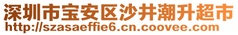 深圳市寶安區(qū)沙井潮升超市