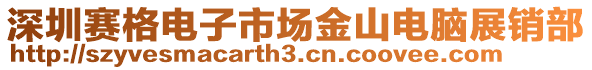 深圳賽格電子市場金山電腦展銷部