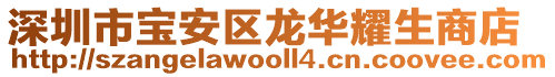 深圳市宝安区龙华耀生商店