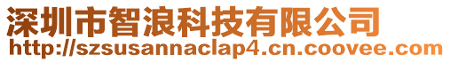 深圳市智浪科技有限公司