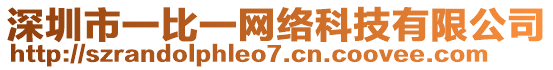 深圳市一比一网络科技有限公司