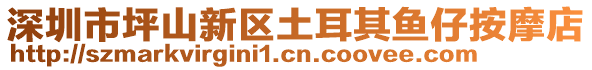 深圳市坪山新區(qū)土耳其魚仔按摩店