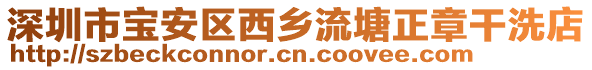 深圳市寶安區(qū)西鄉(xiāng)流塘正章干洗店