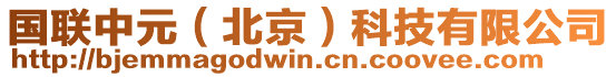 國聯(lián)中元（北京）科技有限公司