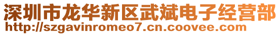 深圳市龍華新區(qū)武斌電子經(jīng)營部