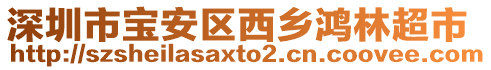 深圳市寶安區(qū)西鄉(xiāng)鴻林超市