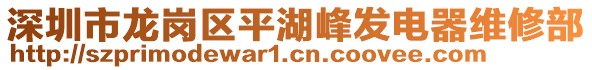 深圳市龍崗區(qū)平湖峰發(fā)電器維修部