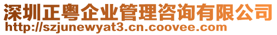 深圳正粵企業(yè)管理咨詢有限公司