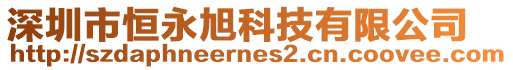深圳市恒永旭科技有限公司