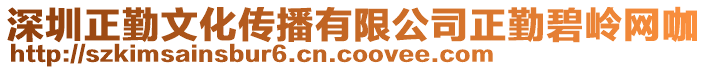 深圳正勤文化傳播有限公司正勤碧嶺網(wǎng)咖