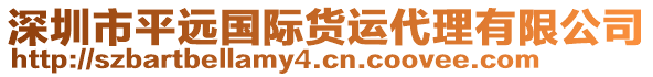 深圳市平遠(yuǎn)國際貨運(yùn)代理有限公司