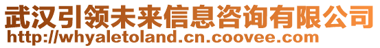 武漢引領(lǐng)未來信息咨詢有限公司