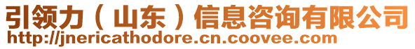 引領(lǐng)力（山東）信息咨詢有限公司