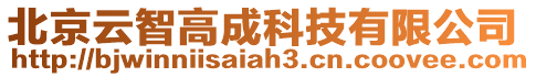 北京云智高成科技有限公司