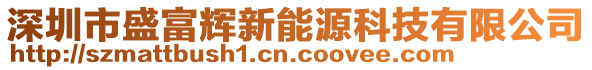 深圳市盛富輝新能源科技有限公司