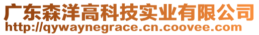 广东森洋高科技实业有限公司