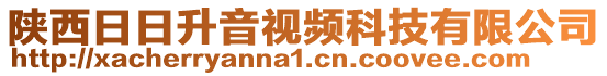 陜西日日升音視頻科技有限公司