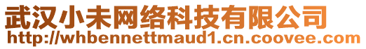 武漢小未網(wǎng)絡(luò)科技有限公司